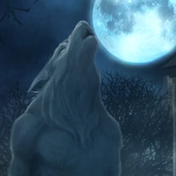 The Curse of the Werewolves