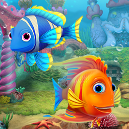 Aquascapes Collector's Edition
