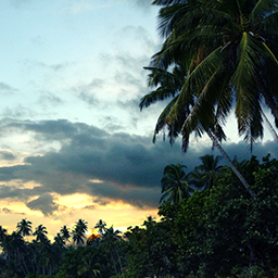 Rescue at Rajini Island
