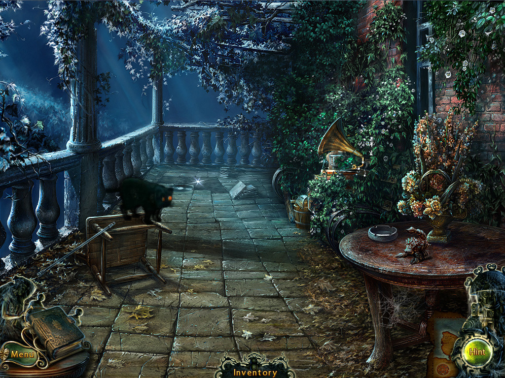 Image 4