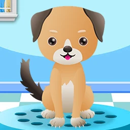 Pet Spa