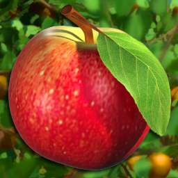 Dream Fruit Farm