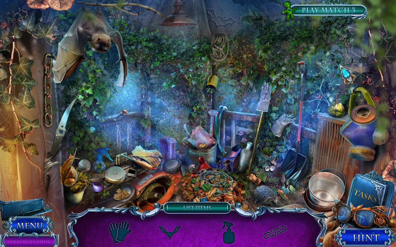Image 8