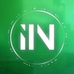 IIN