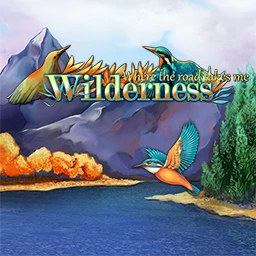Wilderness Mosaic: Where the Road Takes Me