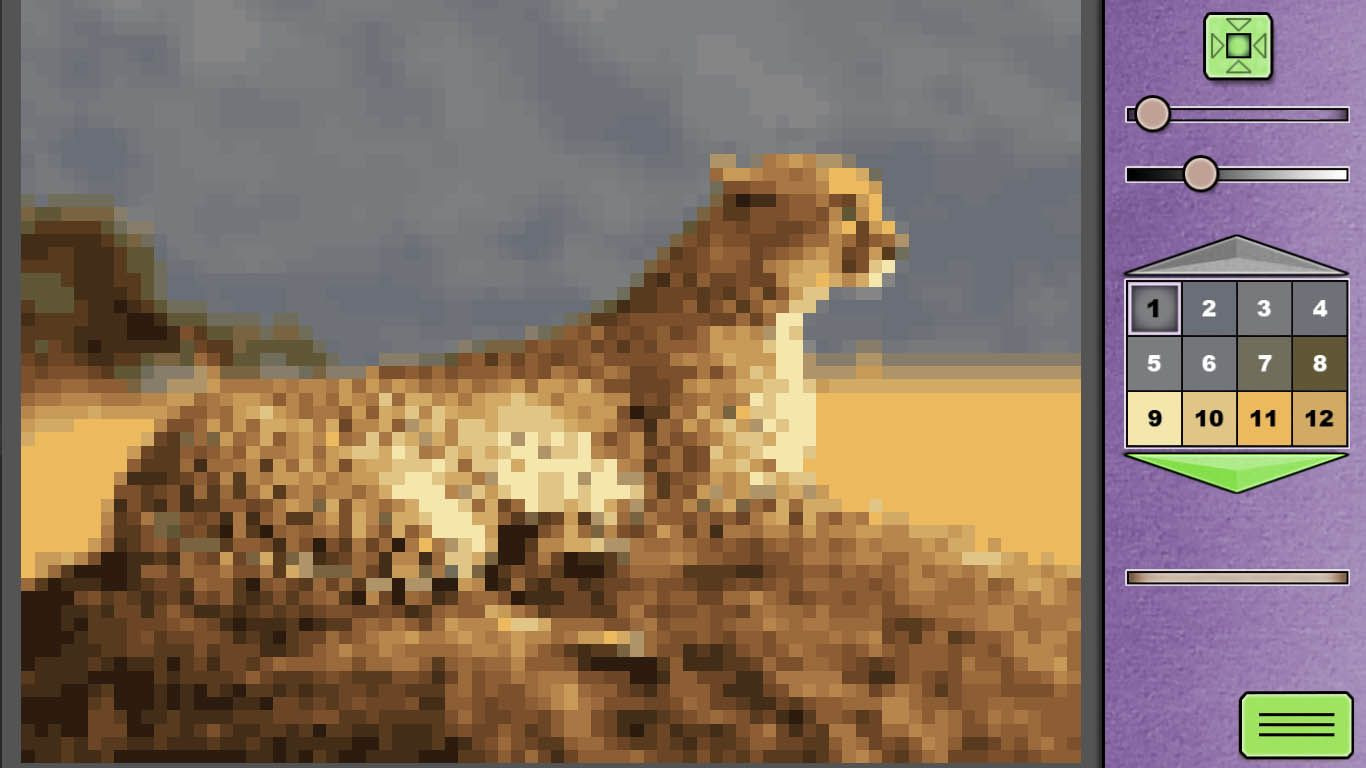 Image 9
