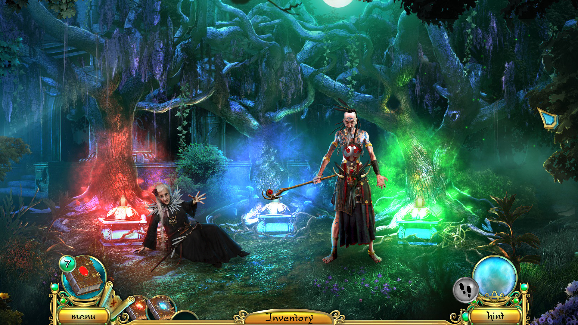 Image 7