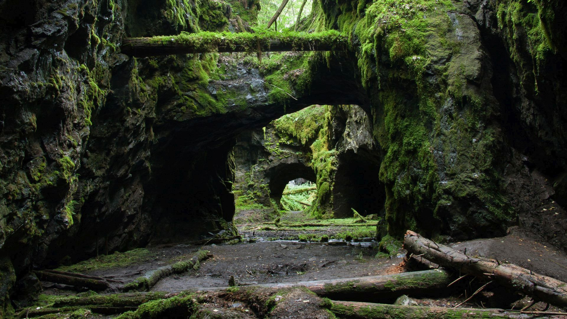 Image 6