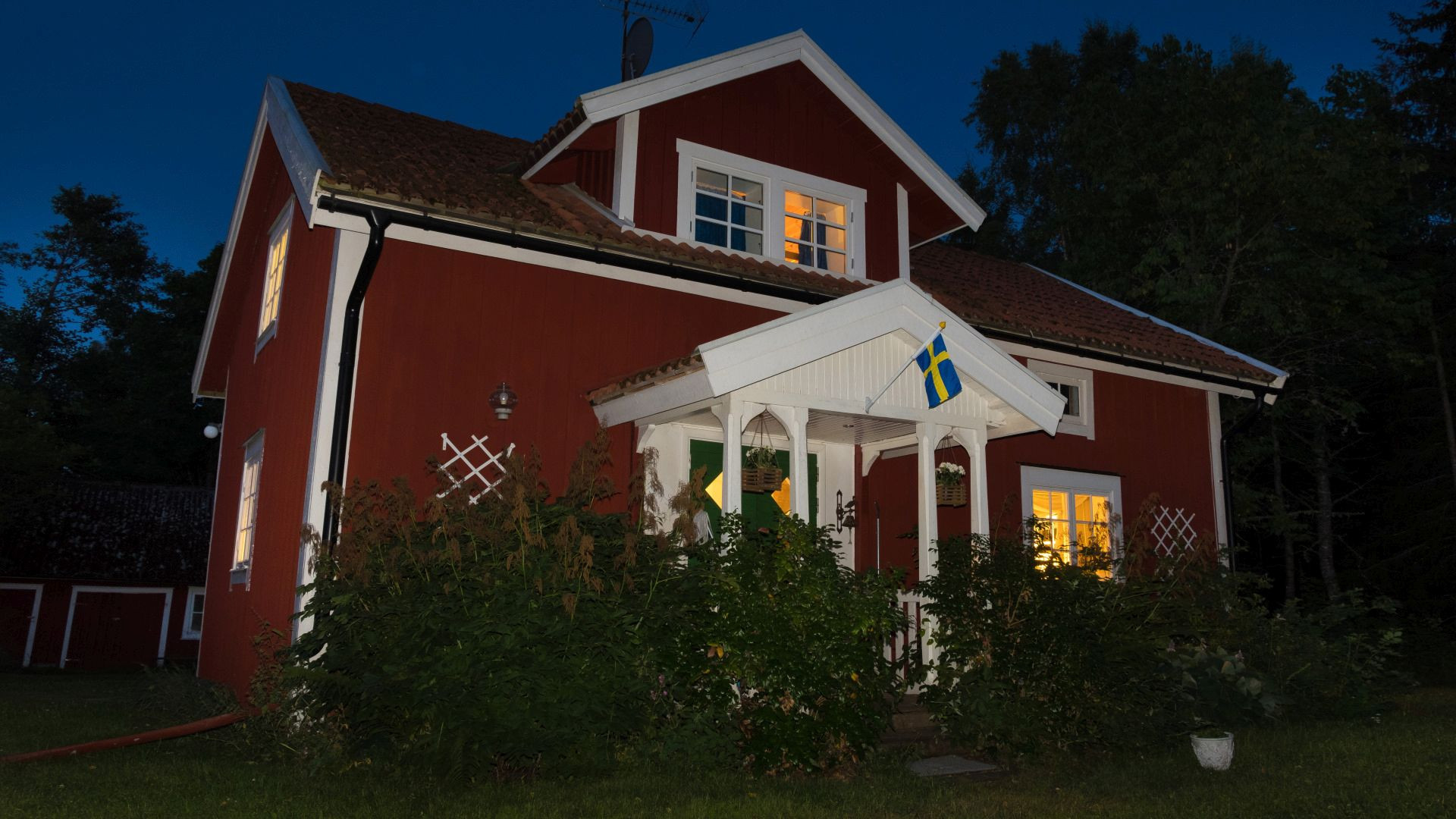 Image 11