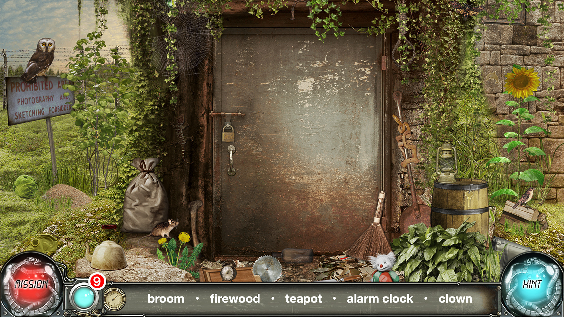 Image 7