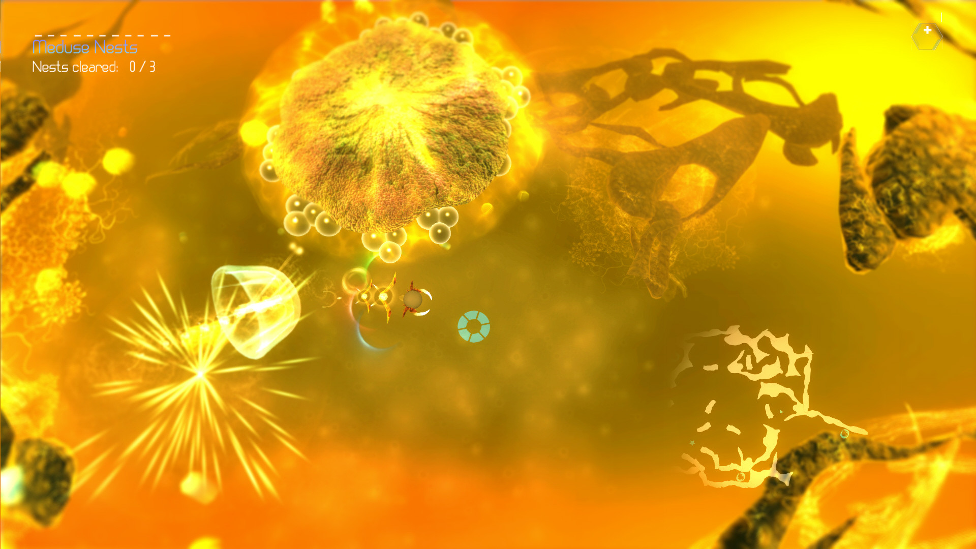 Imagem 7