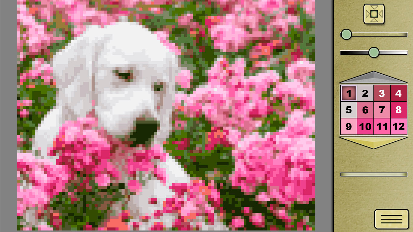 Imagem 9