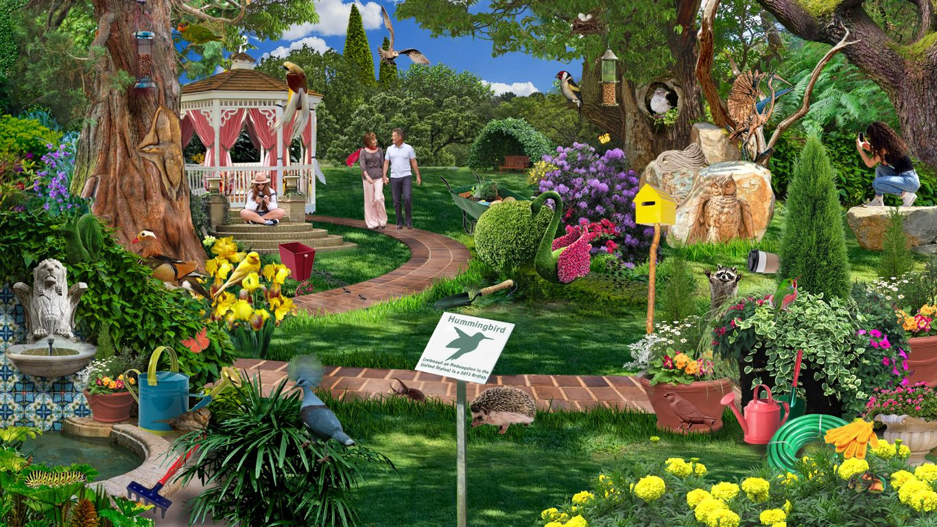 Imagem 6