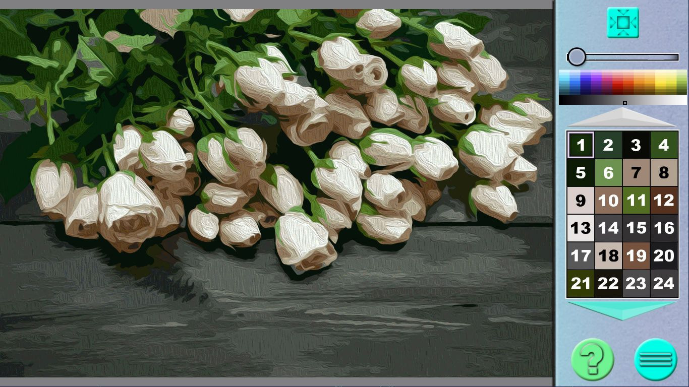 Imagen 10