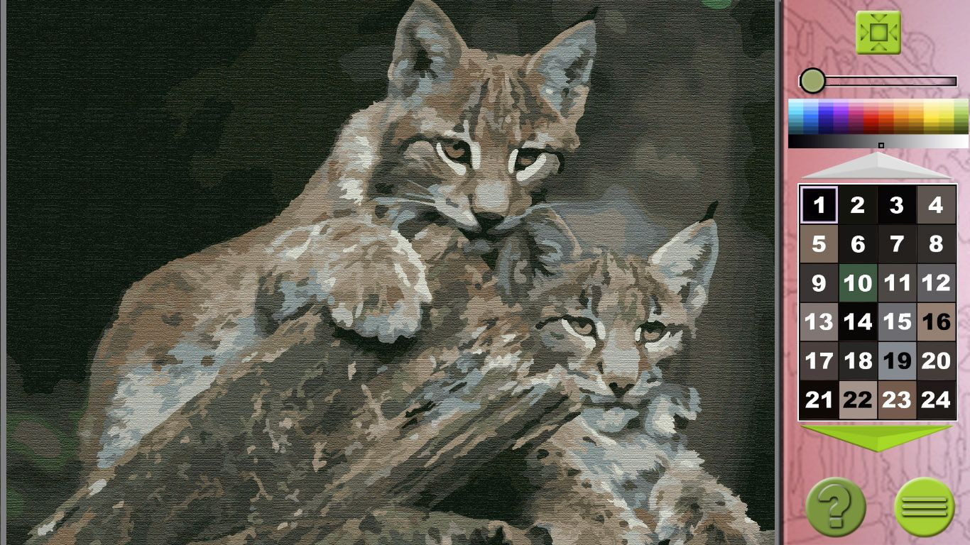 Image 10