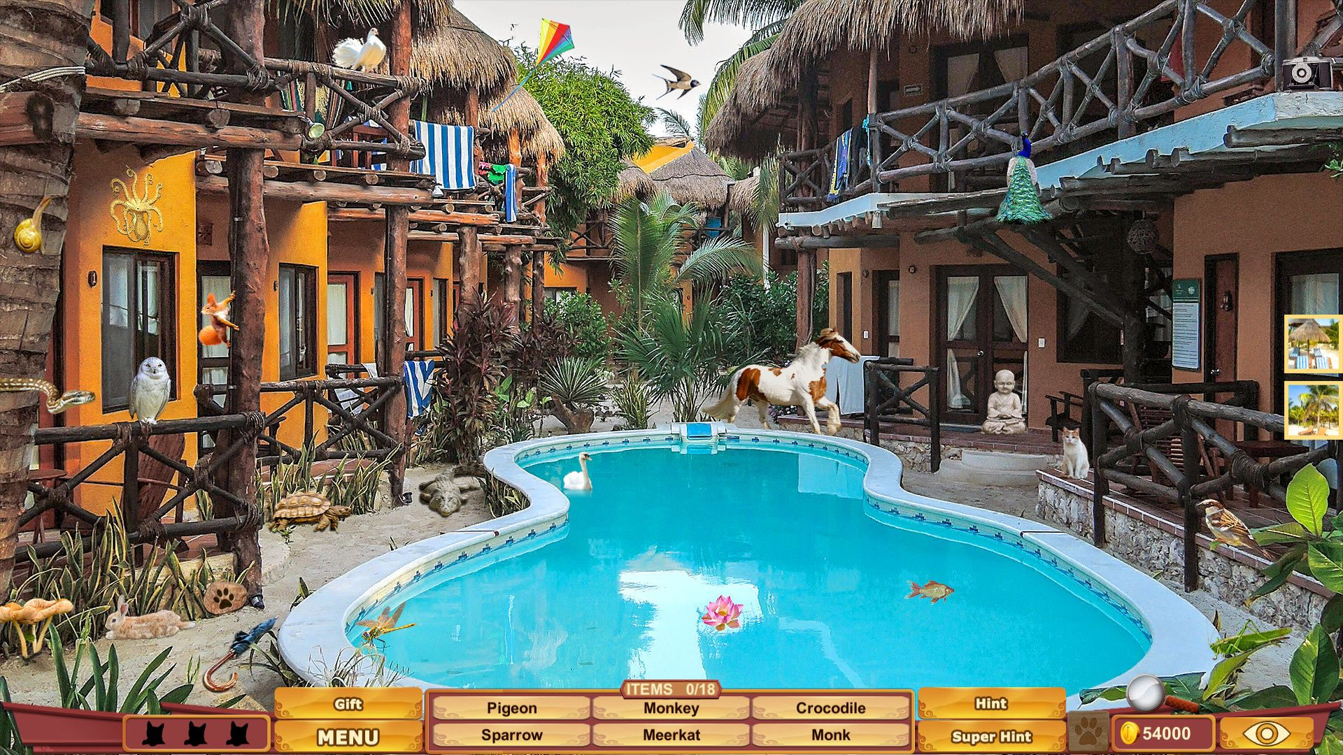 Imagen 11