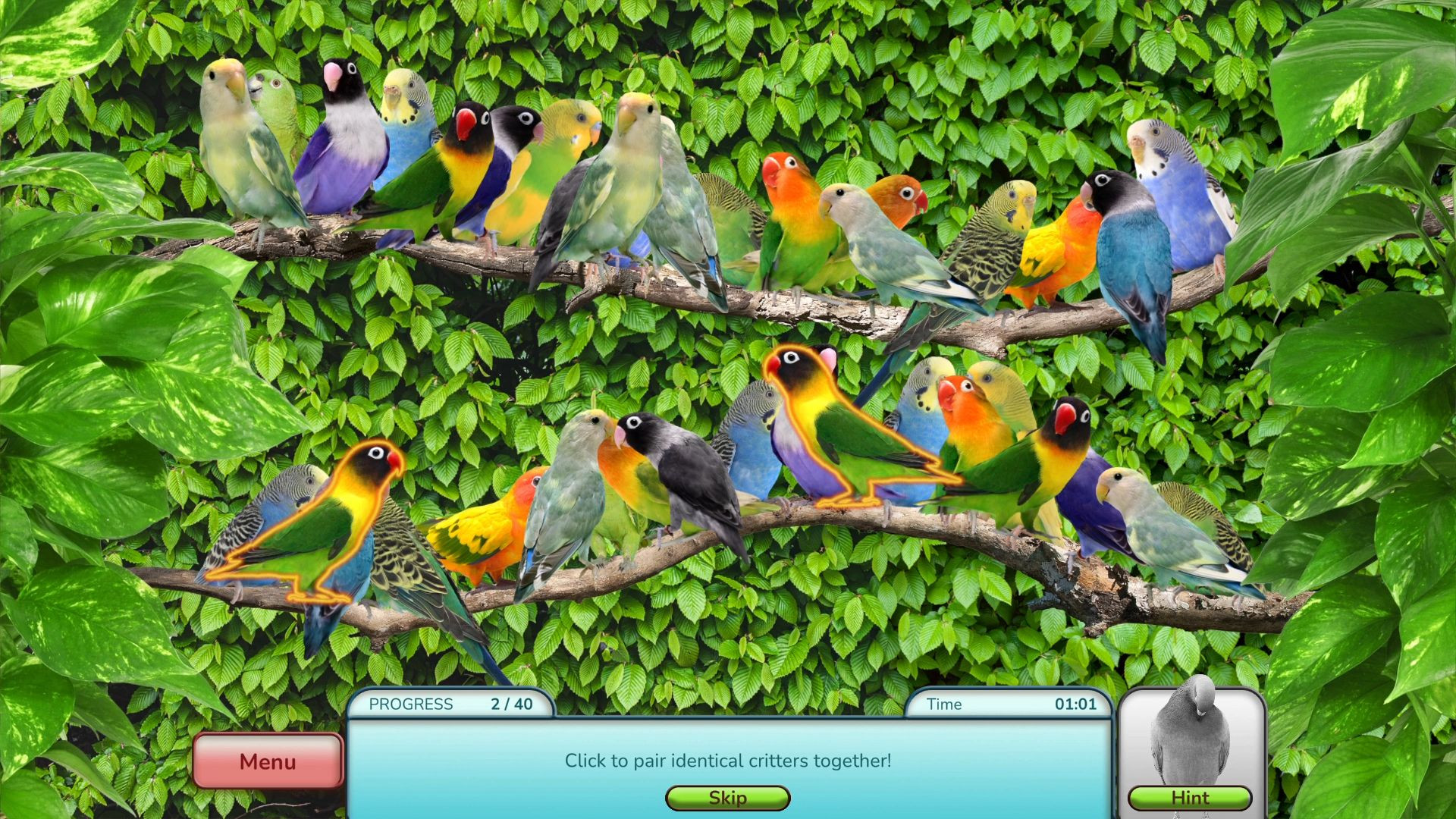 Imagem 9