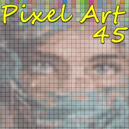 Pixel Art 45