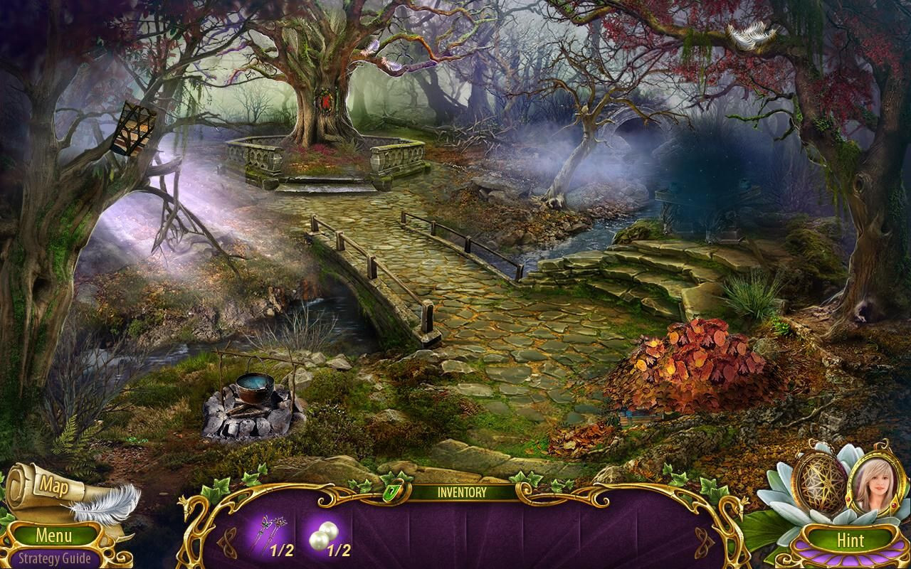 Imagem 7