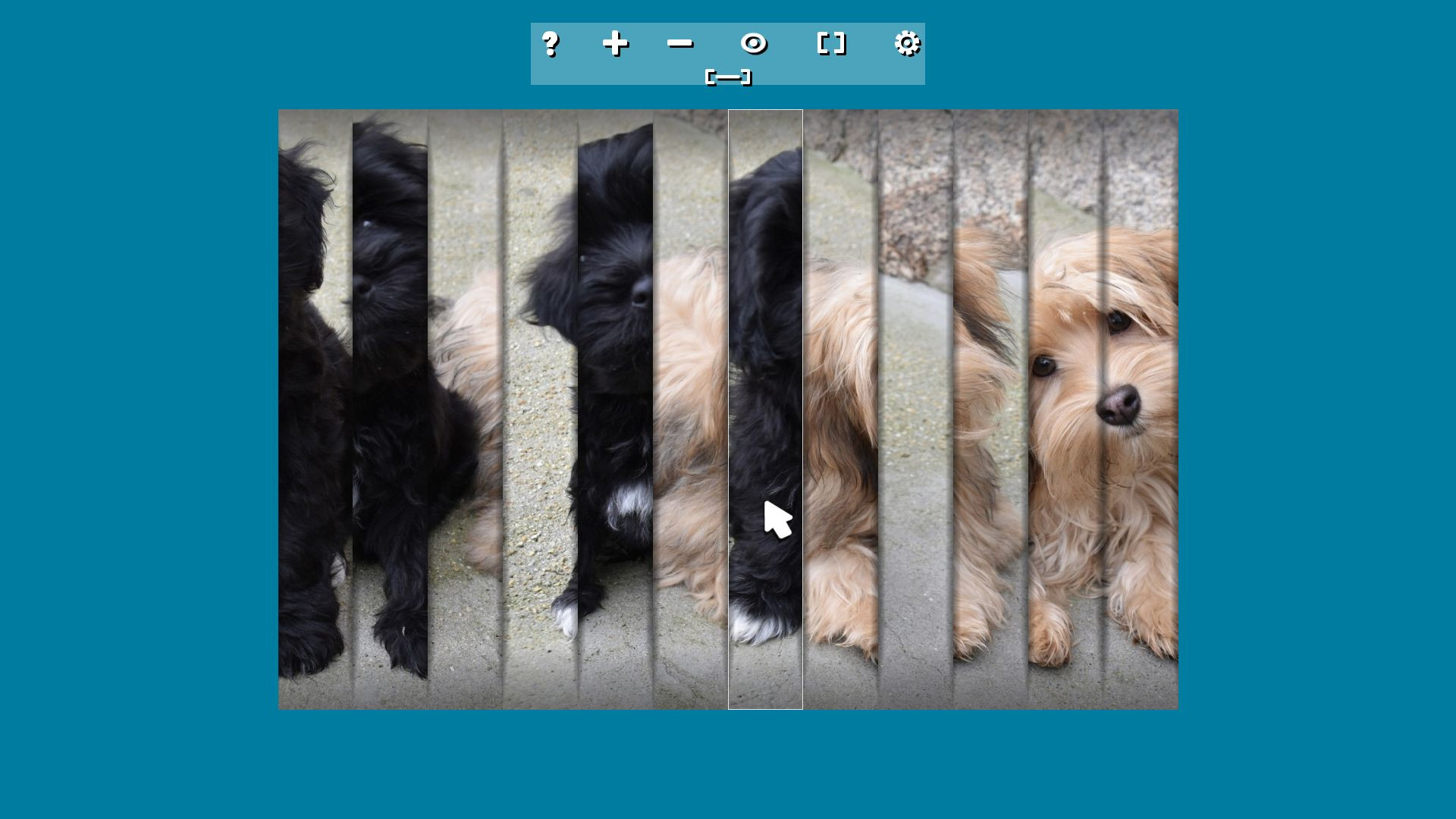 Imagen 9