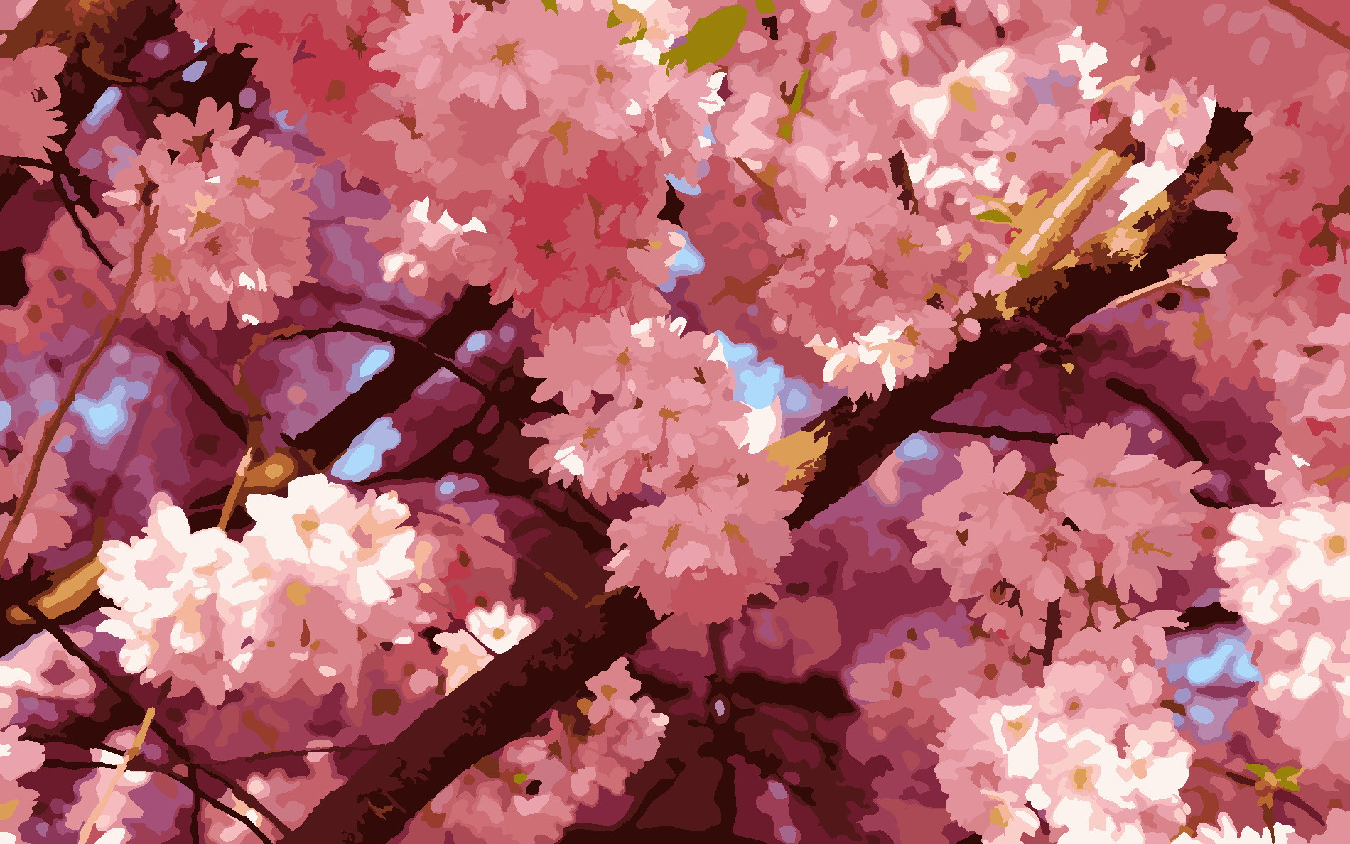 Imagem 3
