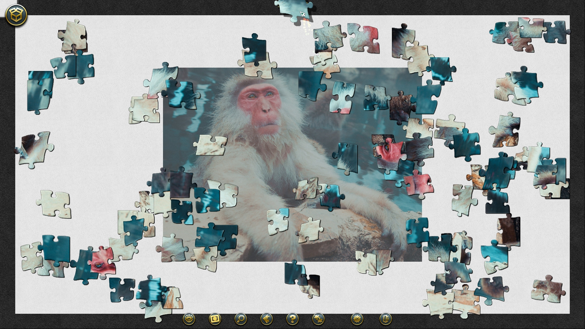 Image 5