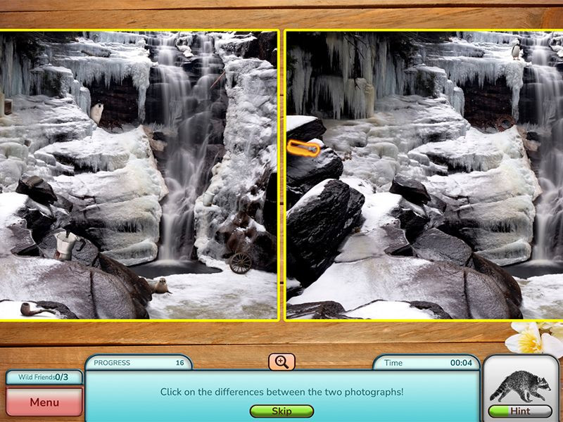 Imagen 6