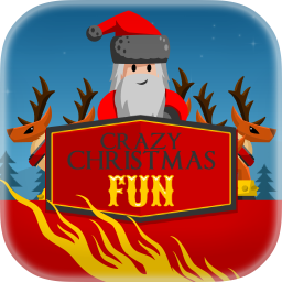 Crazy Christmas Fun