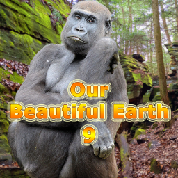 Our Beautiful Earth 9