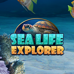 Sea Life Explorer