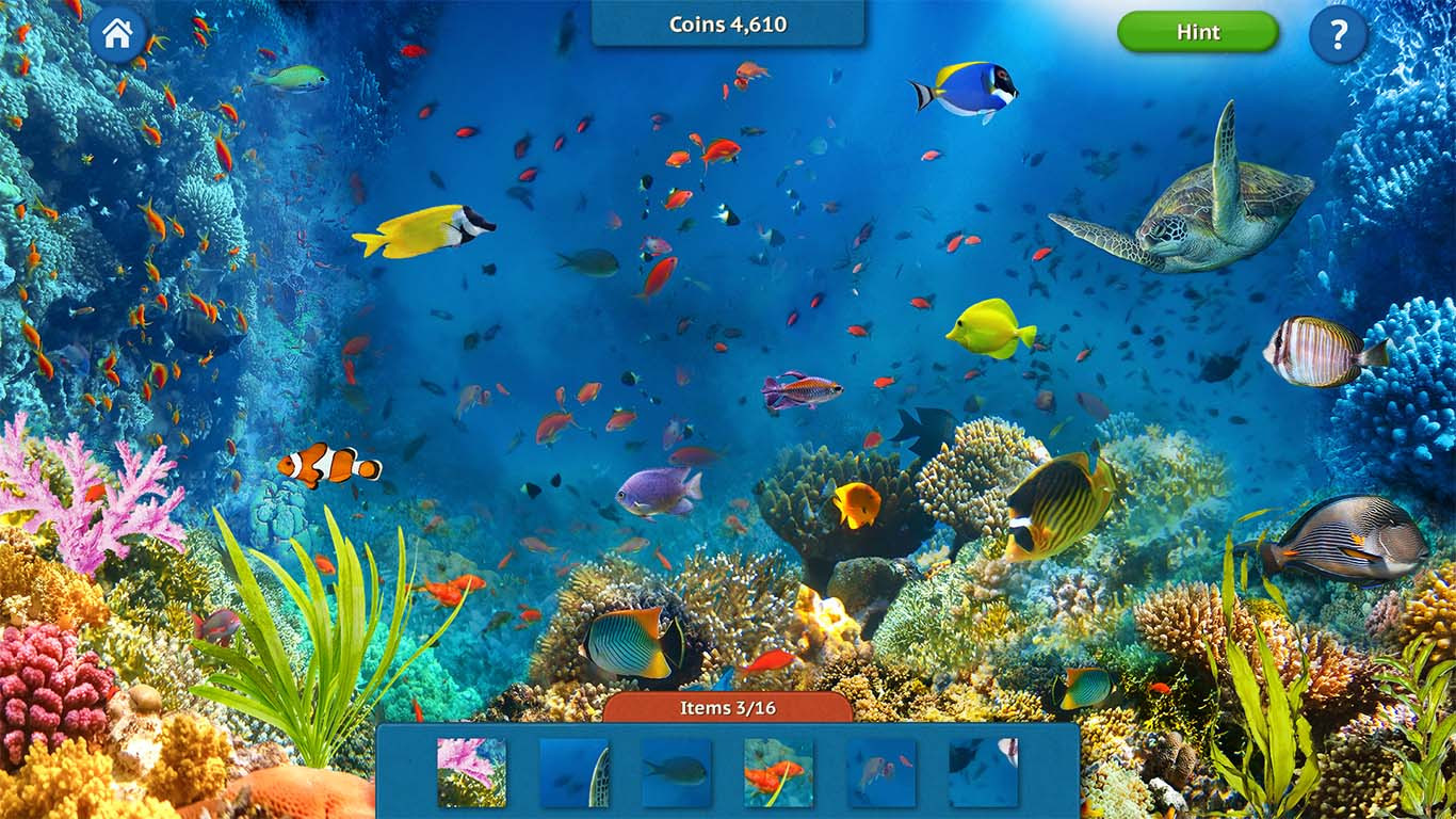 Bild 5