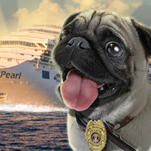 Mr. Biscuits - The Case of the Ocean Pearl Mr. Biscuits - The Case of the Ocean Pearl