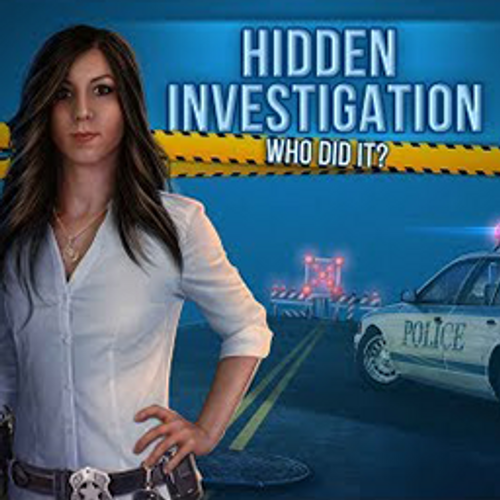 Hidden Investigation: Who did it?