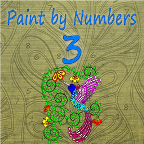 Paint By Numbers 3