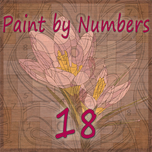 Paint by Numbers 18