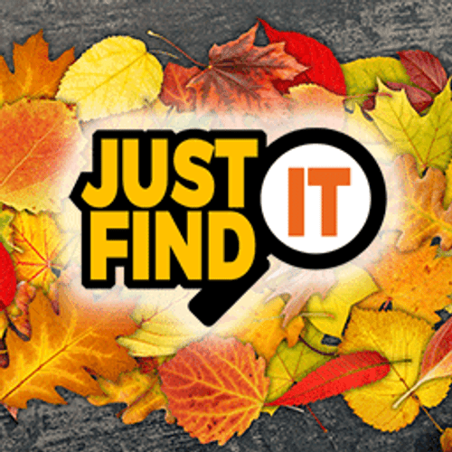 Just Find It