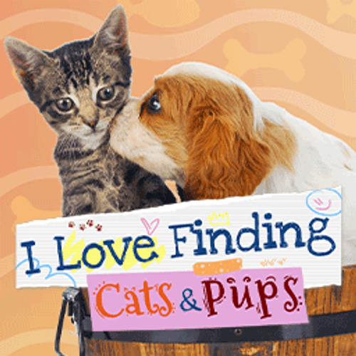I Love Finding Cats and Pups!