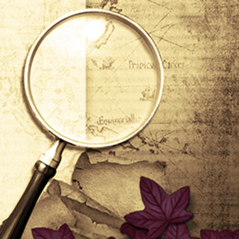 100% Hidden Objects 2