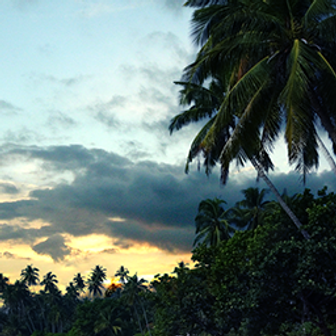 Rescue at Rajini Island