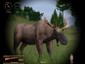 Hunting Unlimited 2010