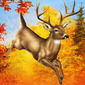 Hunting Unlimited 2011