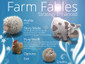 Farm Fables Strategy Enhanced