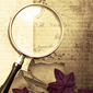 100% Hidden Objects 2