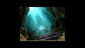 Best of Hidden Object: Volume 8
