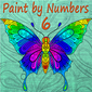Paint By Numbers 6