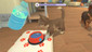My Universe: Puppies and Kittens