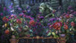 Mystery Case Files: A Crime in Reflection Collector's Edition