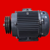 Dayton General Purpose Motor, Totally Enclosed Fan Cooled, Rigid Base Mount, Frame 215T, 5 HP, 208-230/460V AC, 2MXU8B 