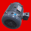 Dayton General Purpose Motor, Totally Enclosed Fan Cooled, Rigid Base Mount, Frame 215T, 5 HP, 208-230/460V AC, 2MXU8B 