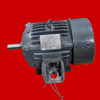 US Motors NIDEC Model FR88 Severe Duty Motor - 7-1/2 hp, 1800 rpm, 3 ph, 190/380//208-230/460 V, 213T Frame, TEFC (Totally Enclosed Fan Cooled) Enclosure, 50/60 Hz, 1455 rpm - 1765 rpm Base, Horizontal / Foot Mount, Continuous Duty, H7P2D
